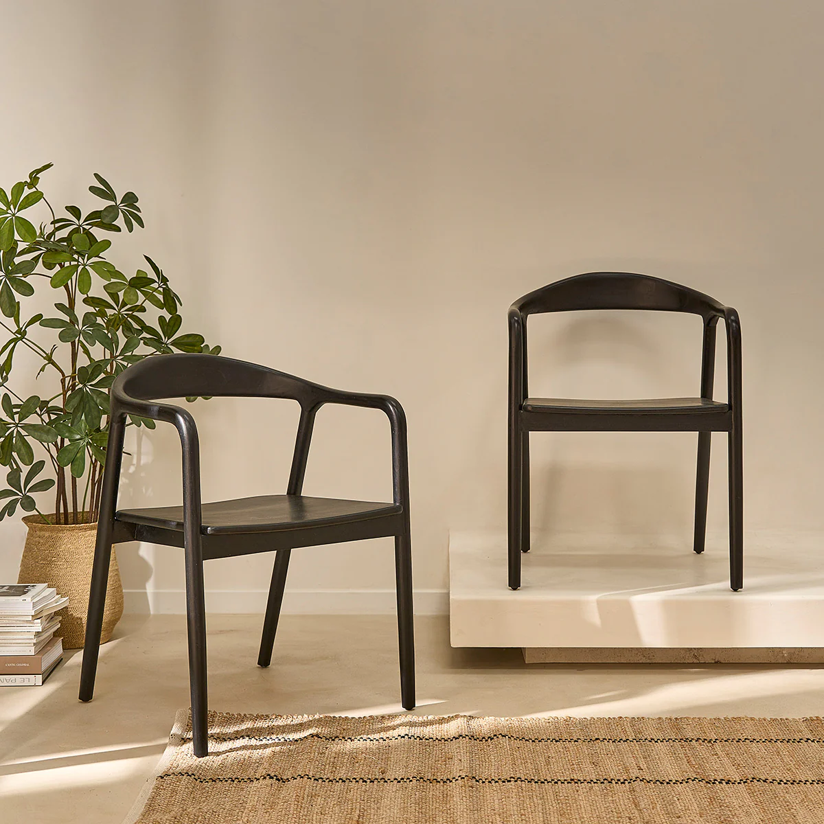 Sedia in teak massello nero - Image 4